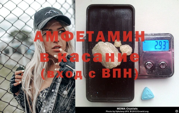 прущие грибы Алзамай