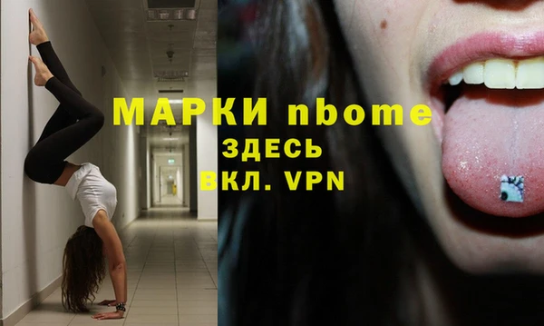 прущие грибы Алзамай