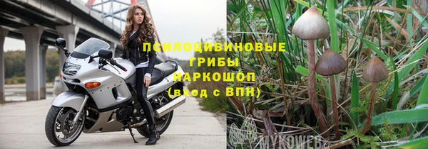 прущие грибы Алзамай