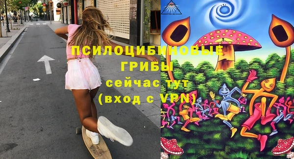 не бодяженный Алексин