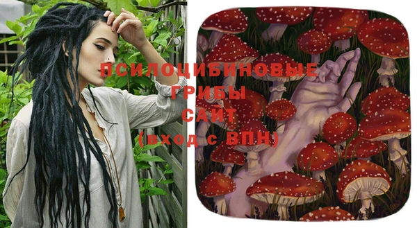 прущие грибы Алзамай
