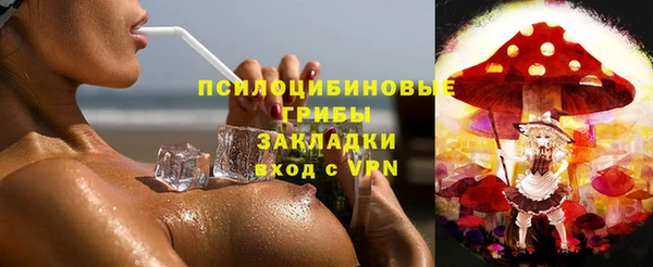 прущие грибы Алзамай