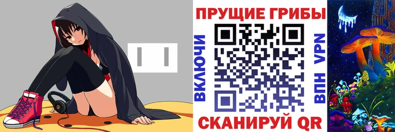 где купить наркоту  Павловская  мега как войти  Галлюциногенные грибы MAGIC MUSHROOMS 